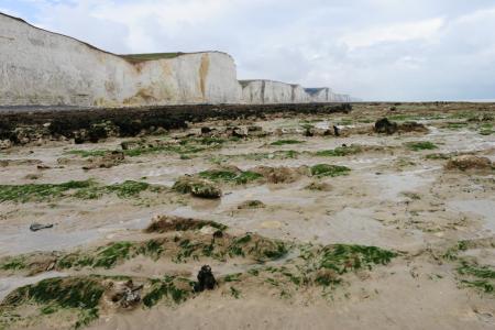 Baie de Somme 