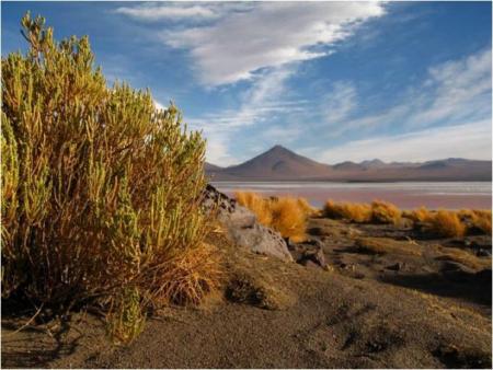 Trekking au CHILI, sud Lipez