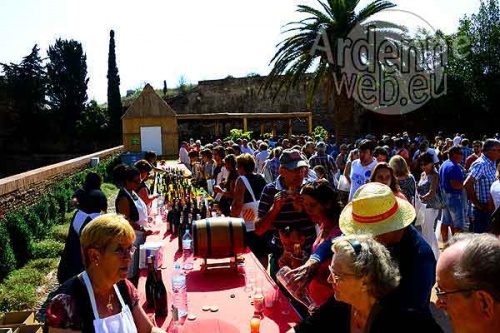 Nouveaux Catalans-2730 Nouveaux Catalans-2730