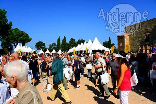 Nouveaux Catalans-2709 Nouveaux Catalans-2709