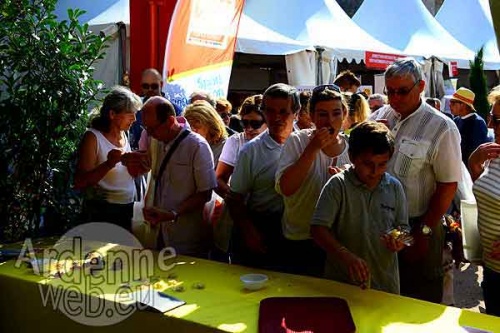 Nouveaux Catalans-2628 Nouveaux Catalans-2628