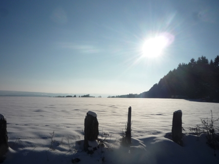Paysages enneiges sur les hauteurs de Bernister ( 16.02.2010 )