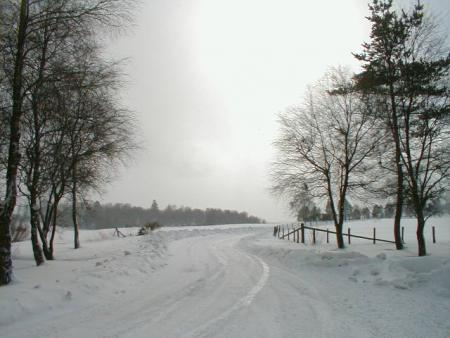 Paysage d'hiver sur les Fagnes wallonnes ( 01.2010 ) 