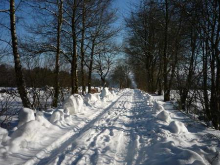 Paysages enneiges sur les hauteurs de Bernister ( 16.02.2010 )