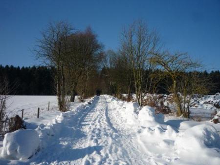 Paysages enneiges sur les hauteurs de Bernister ( 16.02.2010 )