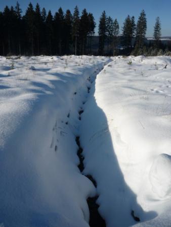 Paysages enneiges sur les hauteurs de Bernister ( 16.02.2010 )