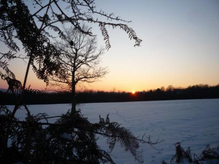Paysages enneiges sur les hauteurs de Bernister ( 16.02.2010 )