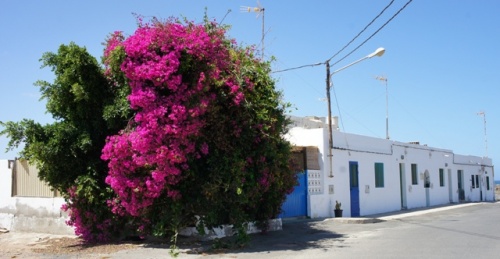 Las Salinas ( Fuerteventura )