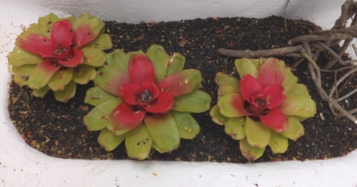 Lag o Mar ( Lanzarote ) Lag o Mar ( Lanzarote )