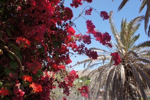 Betancuria ( Fuerteventura )