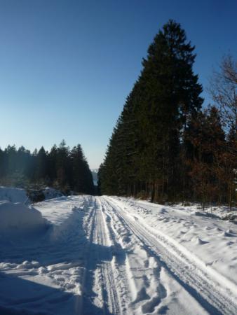 Paysages enneiges sur les hauteurs de Bernister ( 16.02.2010 )