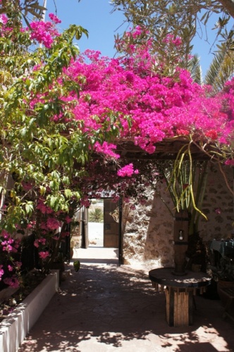 Betancuria ( Fuerteventura )