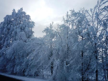 Paysage d'hiver dans les Fagnes wallonnes ( Spa - Malchamps )