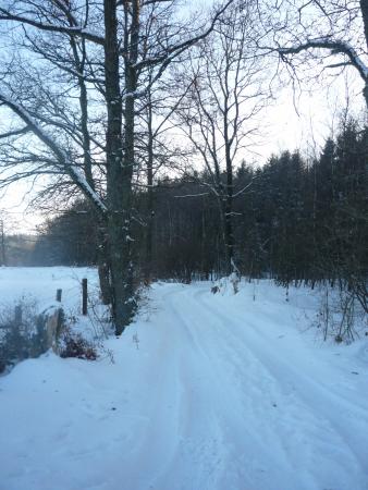Paysages enneiges sur les hauteurs de Bernister ( 16.02.2010 )