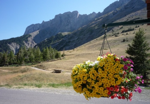Col du Noyer ( St Etienne en Devoluy )