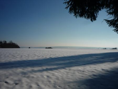 Paysages enneiges sur les hauteurs de Bernister ( 16.02.2010 )