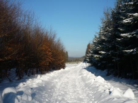 Paysages enneiges sur les hauteurs de Bernister ( 16.02.2010 )