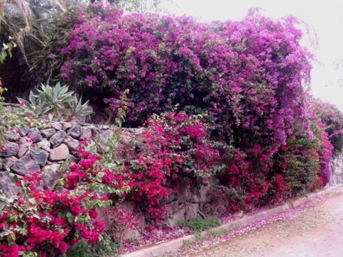 Puerto Colero ( Lanzarote ) Puerto Colero ( Lanzarote )