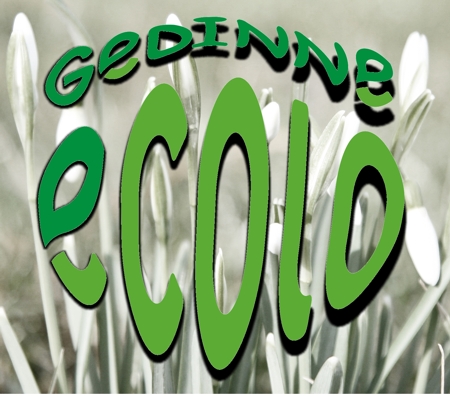 GEDINNE ECOLO