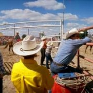 Cow-Boys canadiens en rodeo