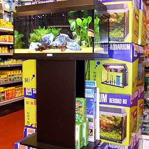 pasau, bastogne, 20, ans, bapteme, helicoptere pasau, bastogne, 20, ans, bapteme, helicoptere