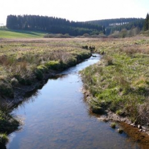 Le cours tranquille de la Holzwarche