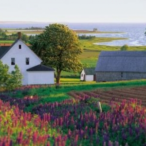 Orwell Cove - (c) Tourism PEI