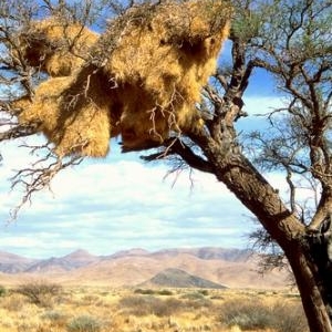 (c) Namibia Tourism Board