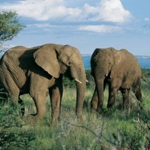 (c) Namibia Tourism Board