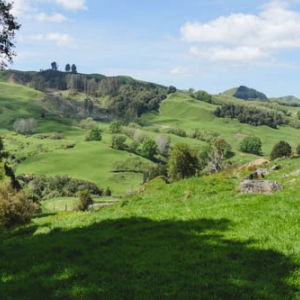 Hairy Feet: Lieu de tournage du film "Le Hobbit"