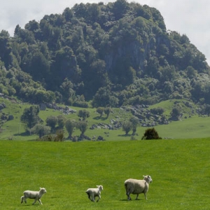 Hairy Feet: Lieu de tournage du film "Le Hobbit"