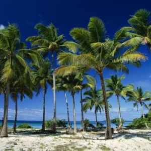 Plage sans vahines