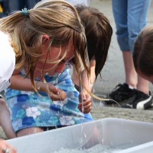 Peche aux euros Peche aux euros