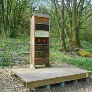 14ème Fête Chlorophylle