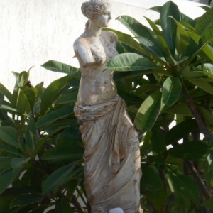 ageri hotel adamas - venus de milo