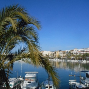 port d alcudia port d alcudia