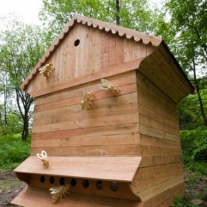 ruche geante artistique ruche geante artistique