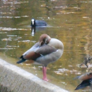 nature et tranquillite