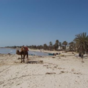 Djerba, l'île tunisienne aux sables d'or