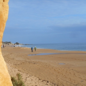 L'Algarve des trois printemps
