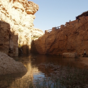 oasis de montagne - tamerza