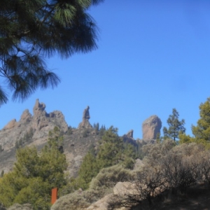 le moine la grenouille le rocher de la brume roque nublo