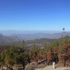 Gran Canaria, la Grande Canarie : el paraiso de las islas canarias