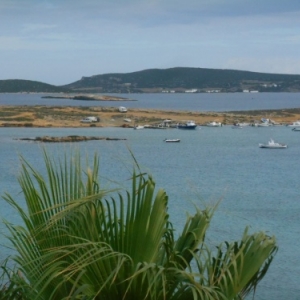 Naoussa Hotel Calypso Naoussa Hotel Calypso