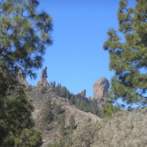le moine la grenouille le rocher de la brume roque nublo