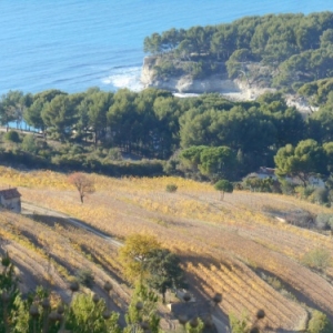 cassis - route des cretes