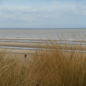 De Haan-aan-Zee, le Coq, un autre visage de la côte belge