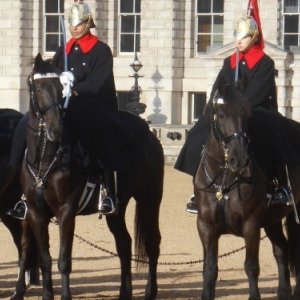 horse guards