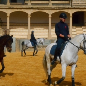 plaza de toros - les arenes