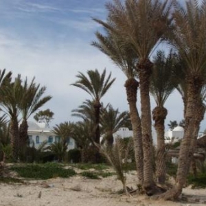 hotel laico djerba - midoun